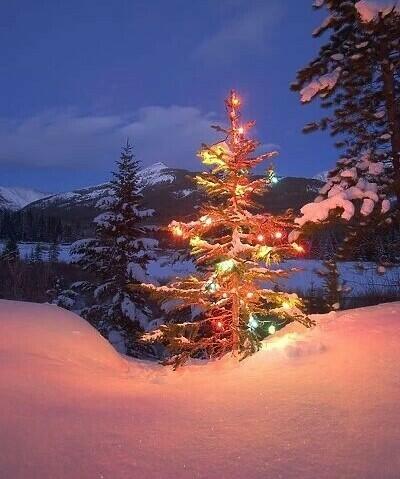 Fermeture SAE sur les vacances de Noël
